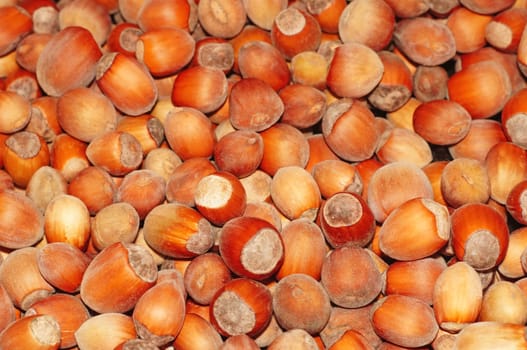 Hazelnuts close-up as background