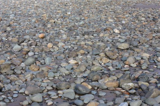 stones and rocks on a sandy beach background