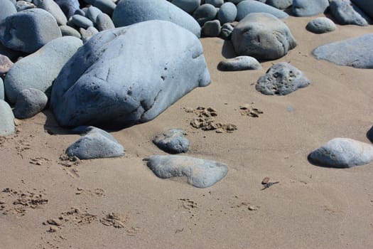 rocks on a sandy beach texture background