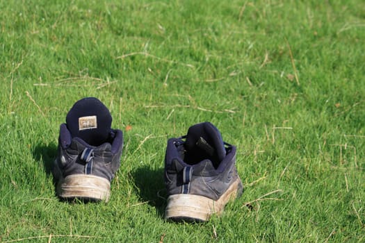 pair of blue trainers on green grass