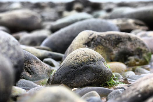 wet stones on a beach background