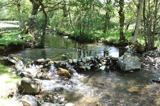 stone dam acoss a small stream in a wooded area