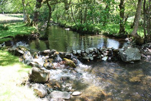 stone dam acoss a small stream in a wooded area