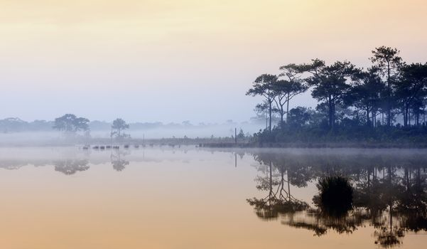 Beautiful foggy sunrise on a lake in rain forest, Thailand.