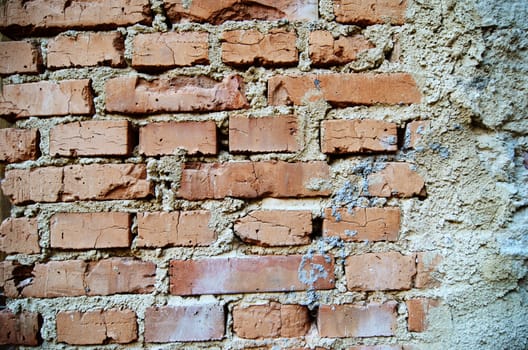 old wall detail 
