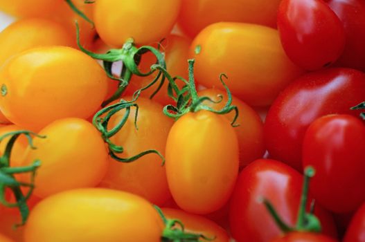 Red and yellow tomatoes cherry as background