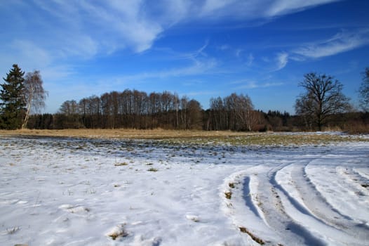 Photo presents winter countryside with snow, trees and blue sky in the Czech republic.