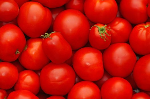 Red ripe tomatoes as background