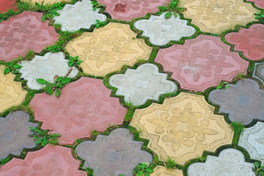 Path of colored tiles from the growing grass in the gaps as background