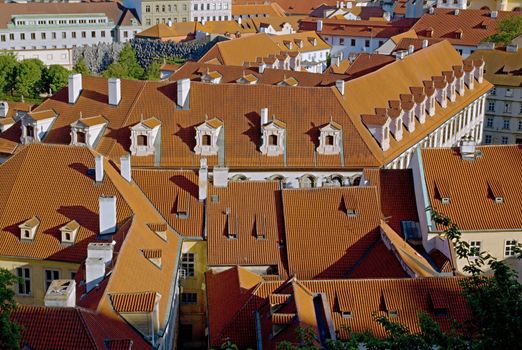 Photo shows general view onto city red roof houses.