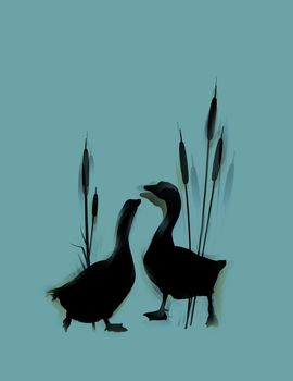 Romantic wildlife background with wild gooses couple