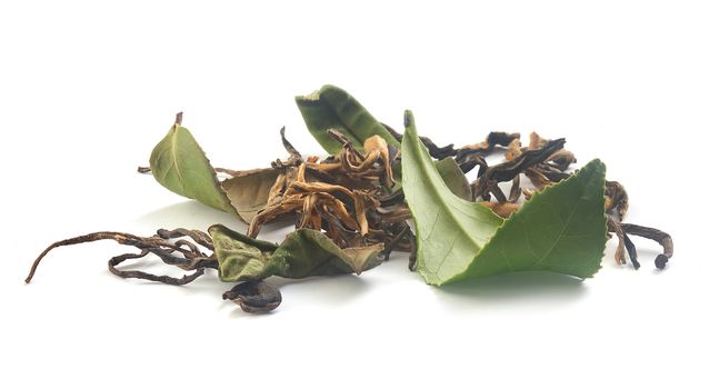 Brown dry and fresh green leaves of tea on the white background