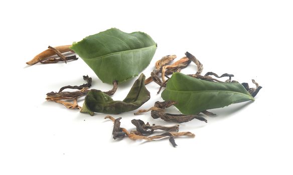 Brown dry and fresh green leaves of tea on the white background