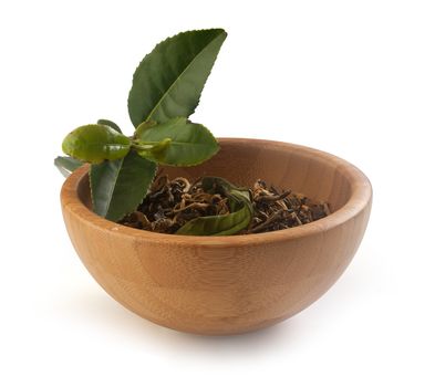 Fresh green tea branch with dried tea leaves in the wooden bowl