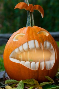 Halloween pumpkin on leaves background