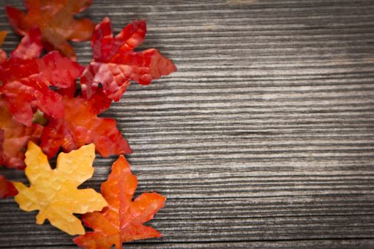 colorful leaves on a rustic wood background 