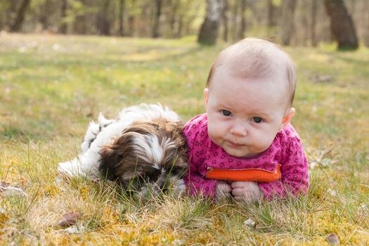 Cute baby and puppy are on the grass in nature