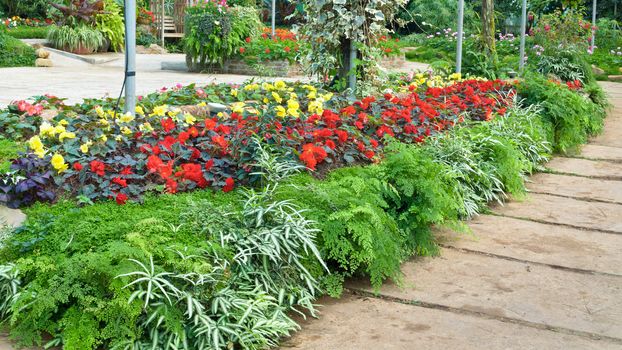 Multicolored flower garden in large greenhouse