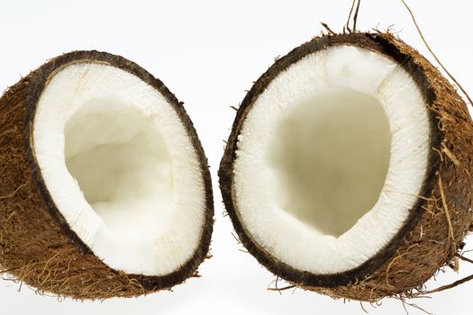 half of coconut with white core isolated on white background
