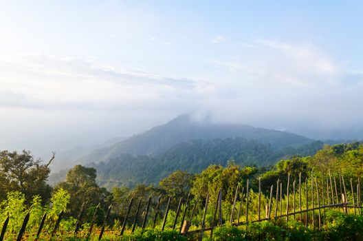 Scenic view of nature on the viewpoint at Ang Khang mountains in Chiang Mai of Thailand