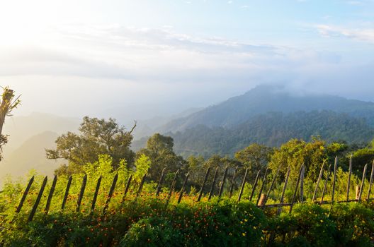 Scenic view of nature on the viewpoint at Ang Khang mountains in Chiang Mai of Thailand