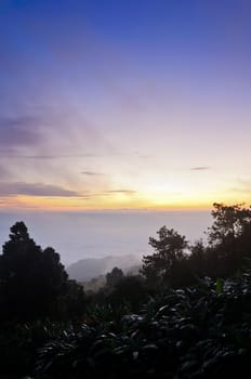Landscape sea of mist on sunrise view from high mountain at Huai Nam Dang national park in Chiang Mai and Mae Hong Son province, Thailand