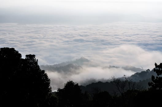 Landscape of cloud above cordillera in the morning from high mountain at viewpoint Huai Nam Dang national park, Chiang Mai and Mae Hong Son province, Thailand