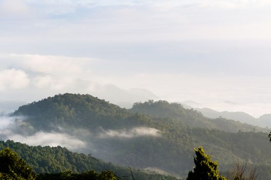 Landscape of cloud above cordillera in the morning from high mountain at viewpoint Huai Nam Dang national park, Chiang Mai and Mae Hong Son province, Thailand