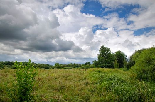 Summer landscape with low clouds and meadow