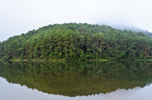 Nature landscape at dawn of lakes and pine forests in Pang Ung national park of Mae Hong Son province, Thailand