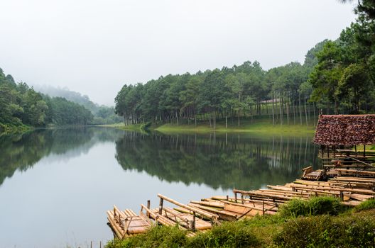 Raft bamboo lake and pine forest at morning in Pang Ung national park of Mae Hong Son province, Thailand