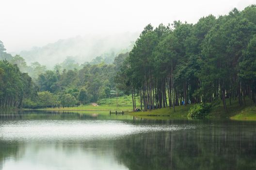Nature landscape at morning of lakes and pine forests in Pang Ung national park of Mae Hong Son province, Thailand