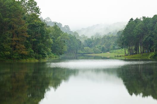 Nature landscape at morning of lakes and pine forests in Pang Ung national park of Mae Hong Son province, Thailand