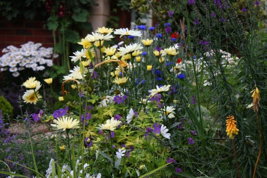 beautiful pretty plants in a garden environment