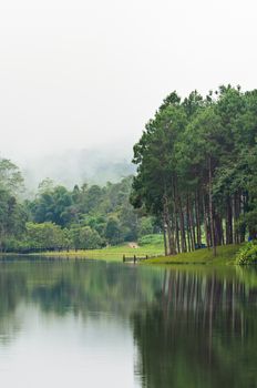 Nature landscape at morning of lakes and pine forests in Pang Ung national park of Mae Hong Son province, Thailand