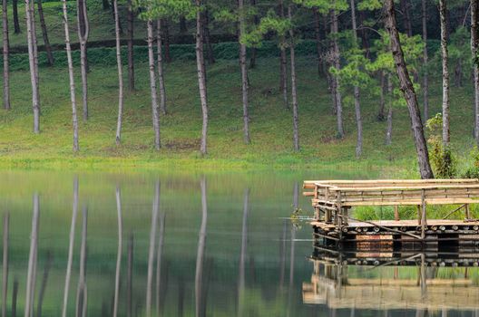 Pang Ung. Beautiful forest lake in the morning. Mae Hong Son. Thailand
