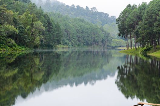 Nature landscape at morning of lakes and pine forests in Pang Ung national park of Mae Hong Son province, Thailand