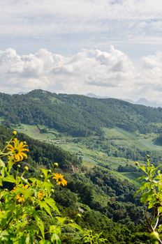 Landscape mountain range high angle view from viewpoint Doi Mae U Ko at Mae Hong Son province of Thailand