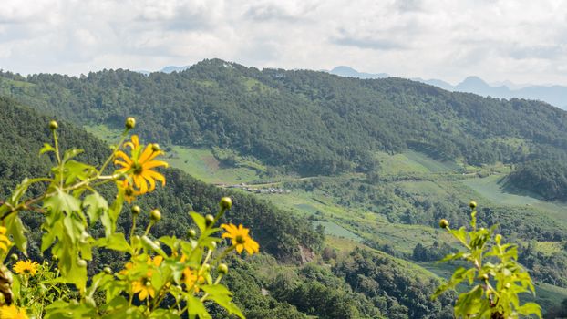 Landscape mountain range high angle view from viewpoint Doi Mae U Ko at Mae Hong Son province of Thailand