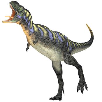 Aucasaurus was a predatory dinosaur from the Cretaceous Period in Argentina and a close relative of Carnotaurus.