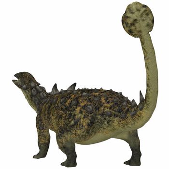 Herbivorous Euoplocephalus had a body full of armor and used its long tail and club for defense.