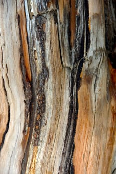 Old wooden surface.