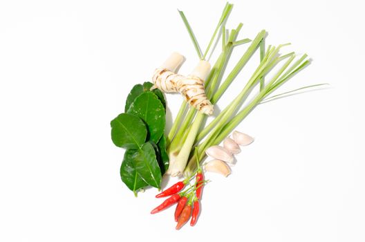 Herbs and spices set to make tom yum spicy soup