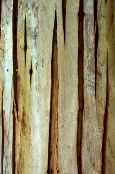 Seamless Tileable Texture.