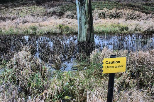 a yellow caution deep water sign in front of marshland