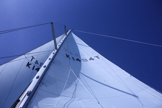 yacht sails and rigging viewed from the deck below