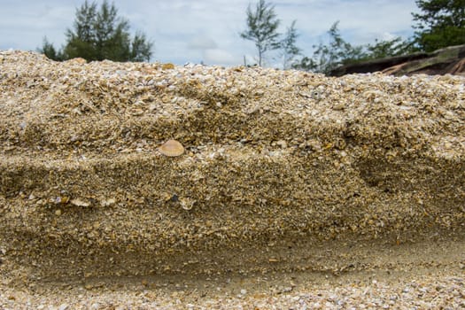 Rocks and sea. Empty shells.
