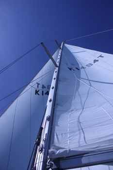 yacht sails and rigging viewed from the deck below