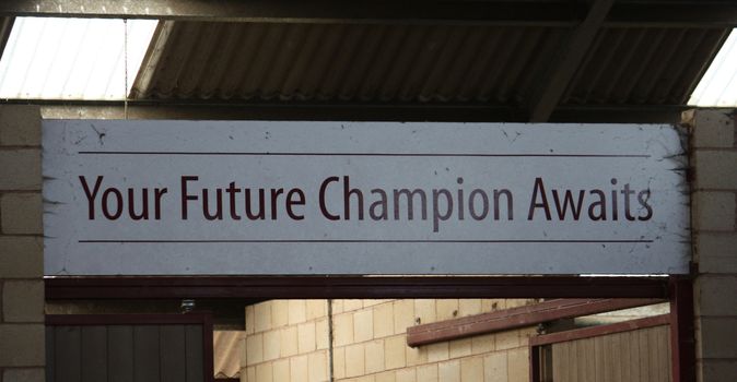 your future champion awaits sign