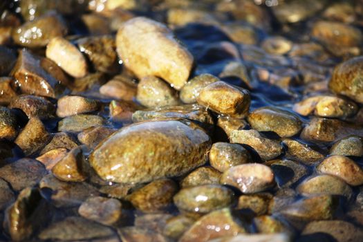 Wet rocks on a sandy beach